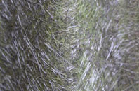 Bower Heath fibreglass roof work